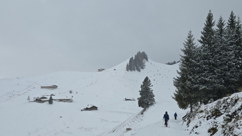 2026-01-29-AV-Lochner-Horn-27