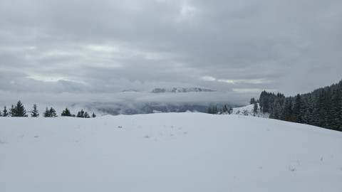 2026-01-29-AV-Lochner-Horn-33