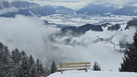 2026-01-29-AV-Lochner-Horn-39