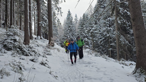 2026-01-29-AV-Lochner-Horn-42