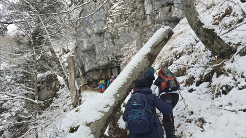 2026-01-29-AV-Lochner-Horn-7