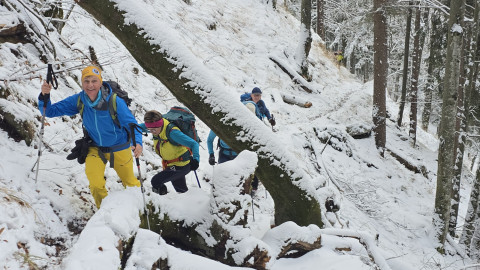 2026-01-29-AV-Lochner-Horn-8