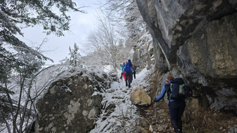 2026-01-29-AV-Lochner-Horn-9