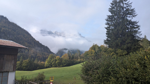 PXL_20251010_080731685