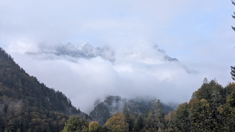 PXL_20251010_080800457