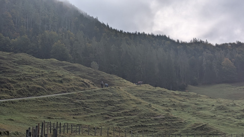PXL_20251010_081414456