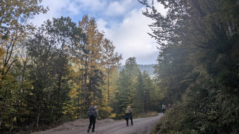 PXL_20251010_083629693