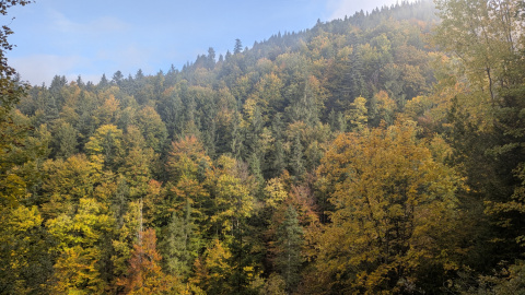 PXL_20251010_083734483