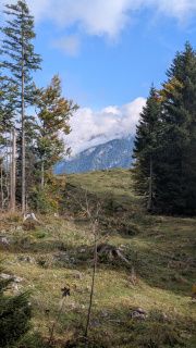 PXL_20251010_095051317