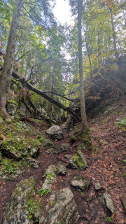 PXL_20251010_100311066