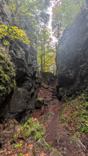 PXL_20251010_100400378