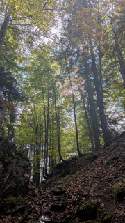 PXL_20251010_100619250