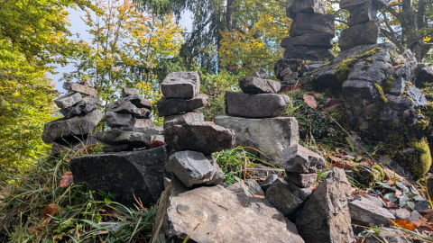 PXL_20251010_102607771