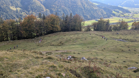 PXL_20251010_124007184