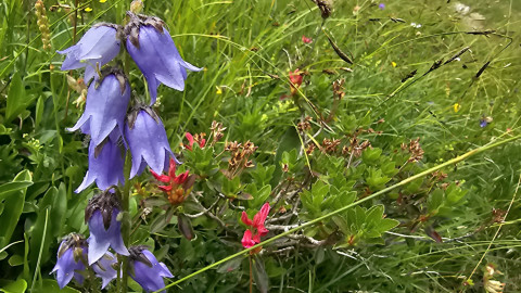 2025-07-13-AV-St.-Antoenien-Tilisunahuette-17