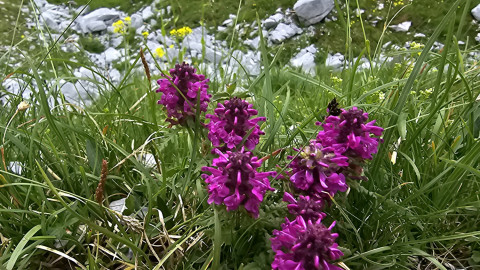 2025-07-13-AV-St.-Antoenien-Tilisunahuette-34