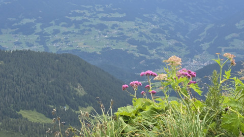 2025-07-15-AV-Lindauer-Huette-Geissspitze-20