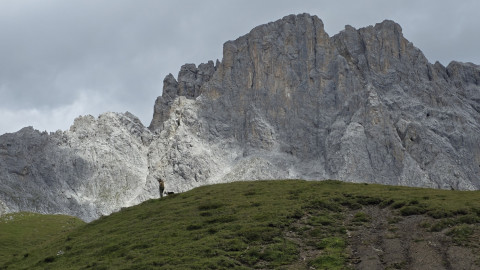 2025-07-18-AV-Totalphuette-Berghaus-Sulzfluh-102