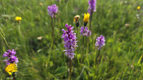 2025-07-18-AV-Totalphuette-Berghaus-Sulzfluh-33