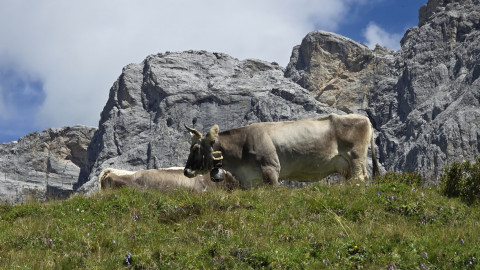 2025-07-18-AV-Totalphuette-Berghaus-Sulzfluh-80