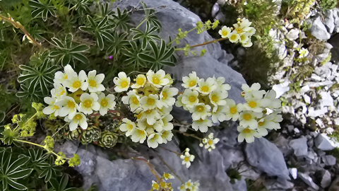 2025-07-18-AV-Totalphuette-Berghaus-Sulzfluh-94
