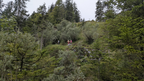 PXL_20260821_084519676