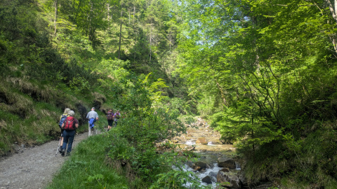 PXL_20250606_082629313