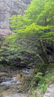 PXL_20250606_083317092