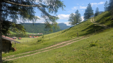 PXL_20250606_124649131