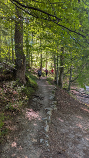 PXL_20260731_080946549
