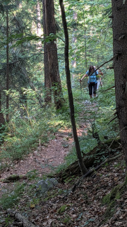 PXL_20260731_090341048