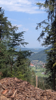 PXL_20260731_091928276