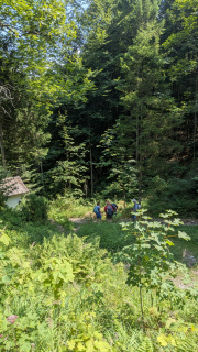PXL_20260731_105810659