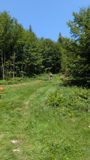 PXL_20260731_105822212