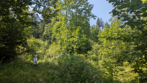 PXL_20260731_112118714