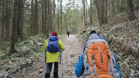 1_2026-01-02-AV-Schwarzlack-1