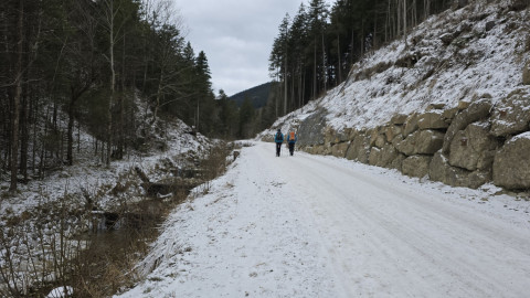 1_2026-01-02-AV-Schwarzlack-4