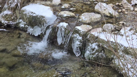 1_2026-01-02-AV-Schwarzlack-6