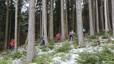 2026-01-02-AV-Schwarzlack-10