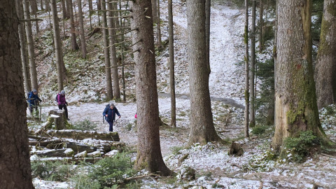 2026-01-02-AV-Schwarzlack-11