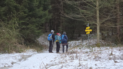 2026-01-02-AV-Schwarzlack-15