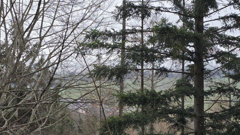 2026-01-02-AV-Schwarzlack-20