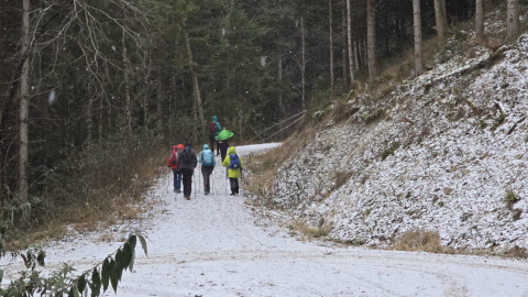 2026-01-02-AV-Schwarzlack-22