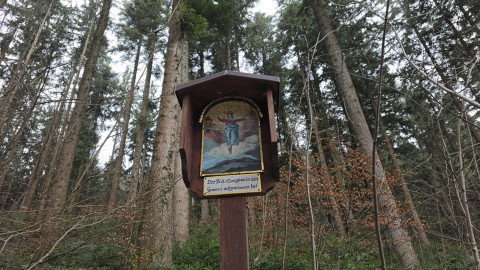 2026-01-02-AV-Schwarzlack-35