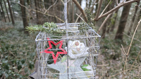 2026-01-02-AV-Schwarzlack-36