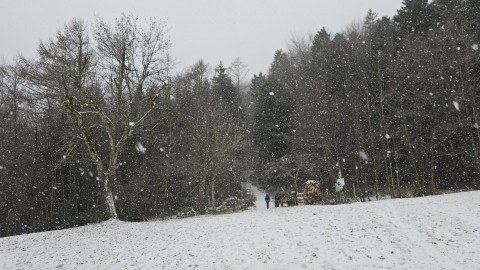 2026-01-02-AV-Schwarzlack-38