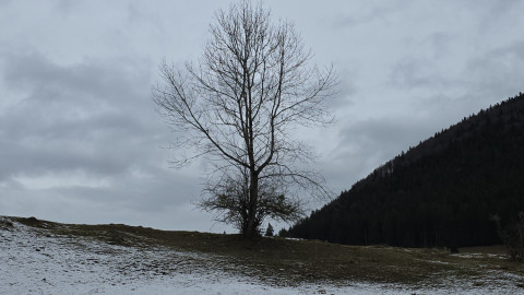 2026-01-02-AV-Schwarzlack-7