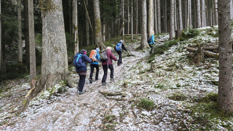 2026-01-02-AV-Schwarzlack-9