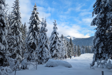 Segatterl - Hindenburghütte 12.01.2024