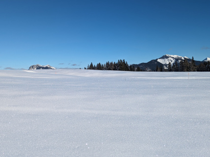 PXL_20240112_113125818